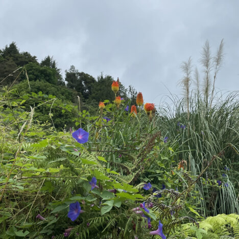 Keine Ahnung wie ich das nenne soll (Radtour zum Strand)