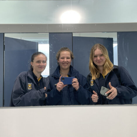 2 Tages nach Whitianga / Coromandel (und Hunde gestreichelt :))